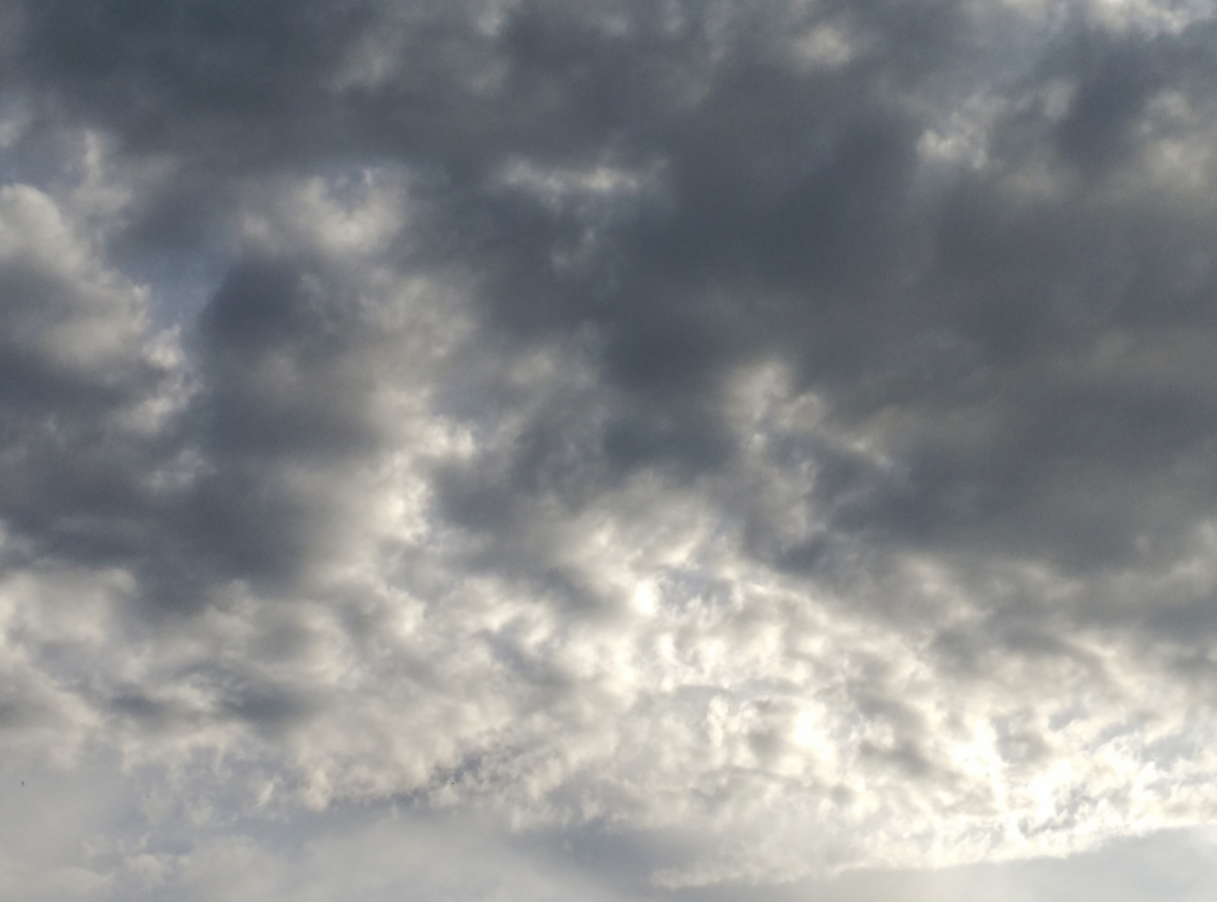 14630748058732008826216